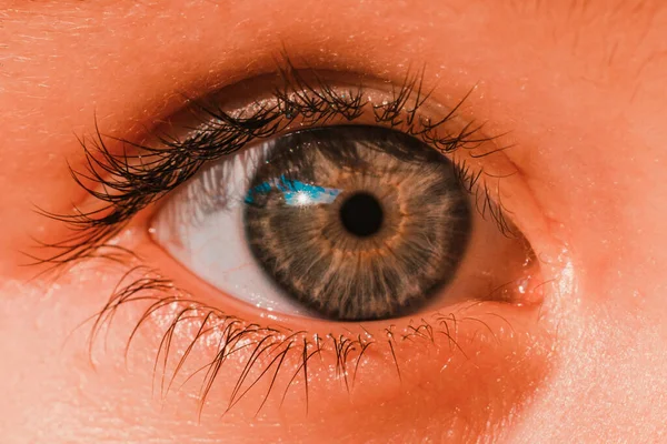 Long naturally beautiful eyelashes and eye color of a three-year-old girl. Eyes look of preschool children.