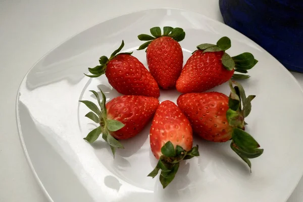Fresas maduras dispuestas en un plato, un plato blanco, un primer plano de bayas, fresas jugosas y maduras con hojas verdes. — Foto de Stock