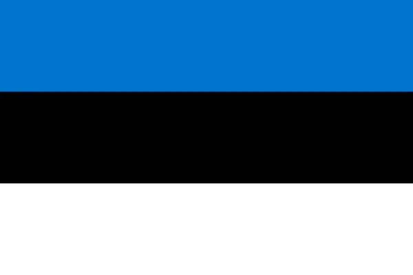 Эстонский Национальный Флаг Главный Символ Независимой Страны Атрибут Большого Размера — стоковое фото