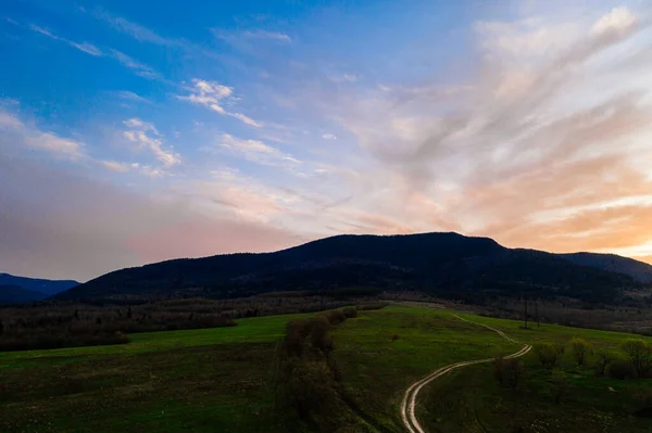 Karpatenwiese Und Wunderschöner Sonnenuntergang Den Bergen Frühlingslandschaft Fichten Auf Den — Stockfoto