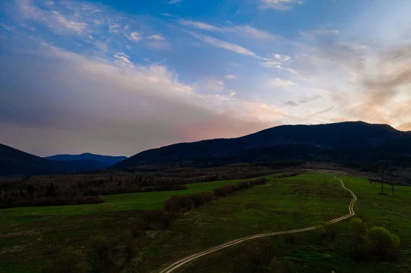 Karpatenwiese Und Wunderschöner Sonnenuntergang Den Bergen Frühlingslandschaft Fichten Auf Den — Stockfoto