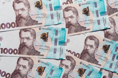 Ukrayna parası, Ukrayna banknotlarının dokusu ve 1000 hryvnias değerinde banknot, Vernadsky .2021 'i resmediyor.