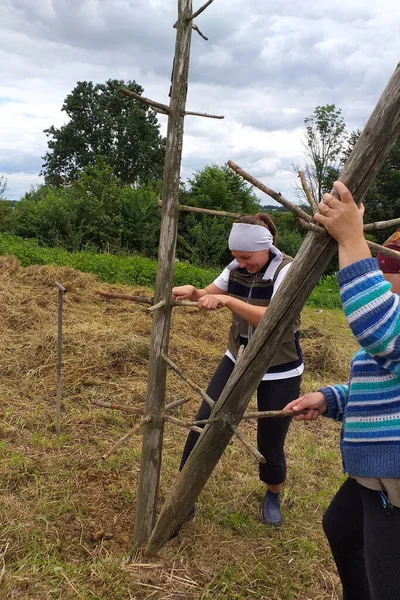 Дві Молоді Жінки Працюють Полі Збираючи Сіно Худоби Зиму Метод — стокове фото