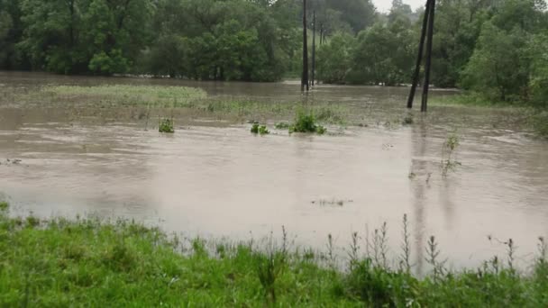 Large rivière sale avec de l'eau boueuse sur la route, champs, pâturages inondés, légumes, le flux d'eau sale dans le village pendant les inondations. — Video