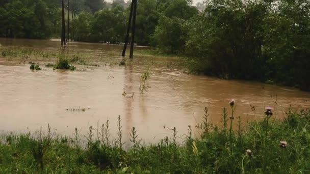 Szeroka brudna rzeka z błotnistą wodą na drodze, pola, zalane pastwiska, warzywa, przepływ brudnej wody w miejscowości podczas powodzi. — Wideo stockowe