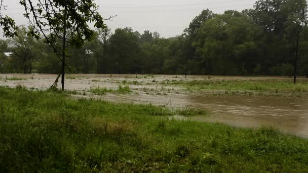 Amplio río sucio con agua fangosa en la carretera, campos, pastos inundados, verduras, el flujo de agua sucia en el pueblo durante las inundaciones. — Vídeos de Stock