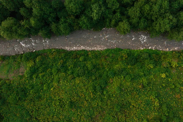 Карпатська Річка Біла Тіса Найбільша Притока Дунаю Гірська Річка України — стокове фото