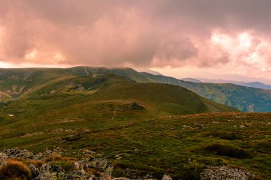 Dağların destansı manzarası, tüm yaz güzellikleriyle Karadağ sırtı, Karpatlar 'da seyahat, pitoresk dağlar. 2020