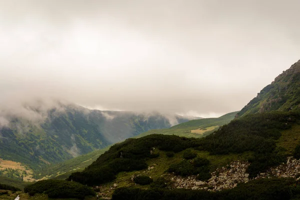 Karpaten Sommernebel Die Gegend Den Brebeneskul See Regen Und Nebel — Stockfoto