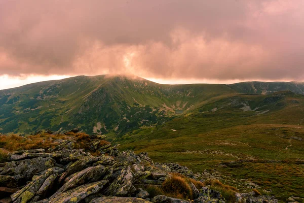 Dağların destansı manzarası, tüm yaz güzellikleriyle Karadağ sırtı, Karpatlar 'da seyahat, pitoresk dağlar. 2020