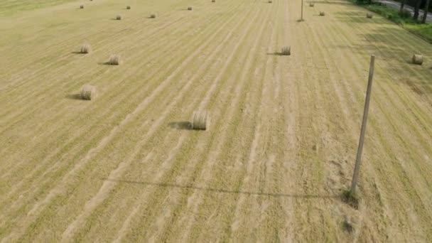 Draufsicht auf ein gelb-grünes landwirtschaftliches Feld mit fertigen runden Heuballen, Ernte und Ernte von trockenem Gras als Futter für Rinder auf dem Hof. — Stockvideo