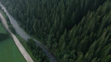 Nehrin üst manzarası ve Karpatlar 'daki paralel yolu, Ukrayna' daki Karpatlar 'ın kırsal kesimi..