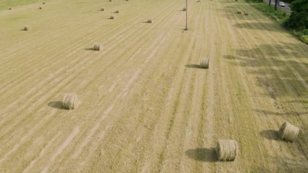 Draufsicht auf ein gelb-grünes landwirtschaftliches Feld mit fertigen runden Heuballen, Ernte und Ernte von trockenem Gras als Futter für Rinder auf dem Hof. — Stockvideo