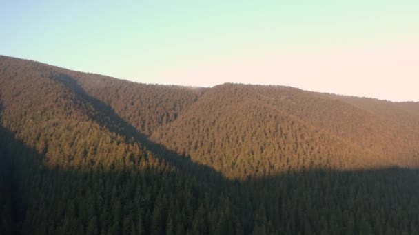 Bosque siempreverde de los Cárpatos Ucranianos, vista superior, vuelo de drones sobre los bosques de los Cárpatos. — Vídeo de stock