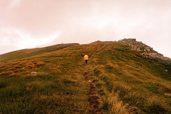 モンテネグロの尾根の山の上の夏のカルパティア人 観光客 子供たちは山を征服し カルパティアを旅します 2020 — ストック写真