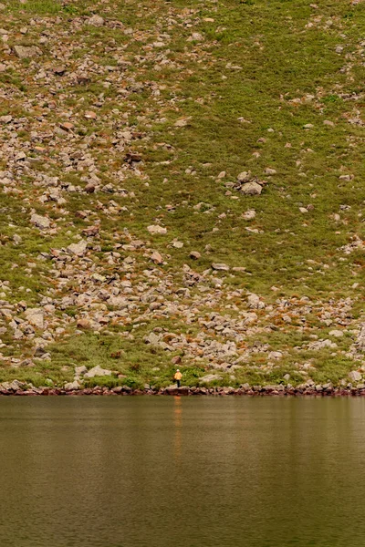 Deux Garçons Tiennent Bord Eau Deux Frères Regardent Lac Reflet — Photo