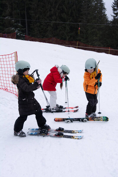 Excited young skiers in colorful gear explore a snowy mountainside, honing their skills under the watchful gaze of towering trees on a bright winter morning.