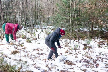Kış kıyafetlerine sarılmış iki genç, kısmen karla kaplı bir ormanda yerde kar topluyor. Kar yaratımı için malzeme topluyor gibi görünüyorlar..