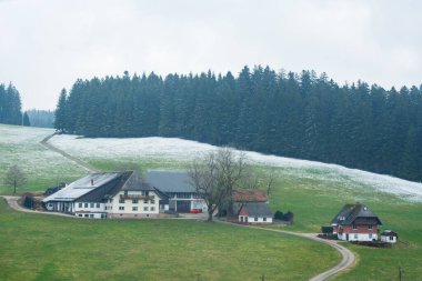 Kar, geleneksel çiftlik evlerini çevreleyen yuvarlak tepeleri hafifçe tozluyor ve arka plandaki sık ve yeşil ormanın ortasında huzurlu bir kış ortamı yaratıyor..