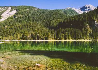 Tovel Gölü 'nün güzel manzarası, Adamello Brenta Park 'ta Trentino 'daki tüm doğal göllerin en büyüğü.