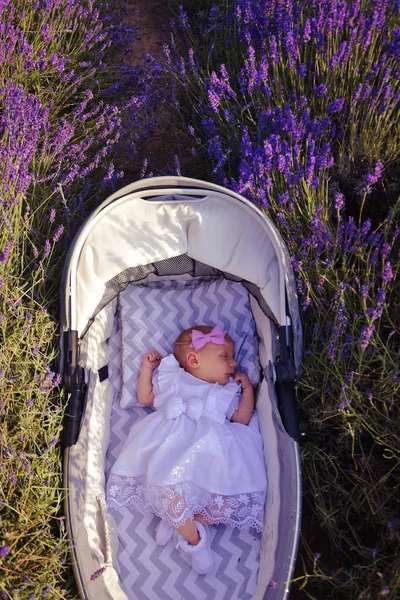 Baby Dragen Witte Kleren Zijn Slaap Lavendel Veld — Stockfoto