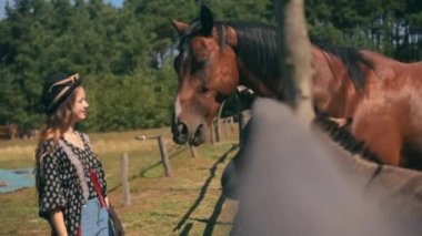 Bir at bir kızın el-genç kız beslemek--dan onun at elinden yiyor. Bir gıda ata veren güzel teen gezgin kız.