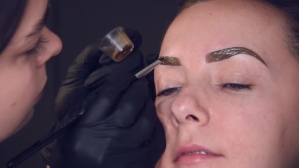 Maître Fait Des Sourcils Stratification Des Sourcils Fille Fait Des — Video