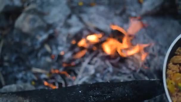 Mäns Händer Tänder Tändsticka Naturen Man Lagar Mat Bål — Stockvideo