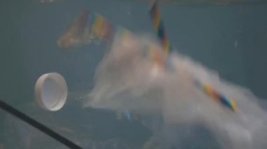 Çevre kirliliği. Ekoloji. Plastik bir şişe, torba, plastik kapaklar ve pipetler okyanusta yüzer. Plastik suda yüzer.