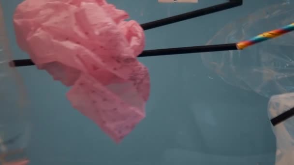 環境汚染 生態学 プラスチックボトル バッグ プラスチックキャップ 海に浮かぶストロー プラスチック製のフロートは — ストック動画