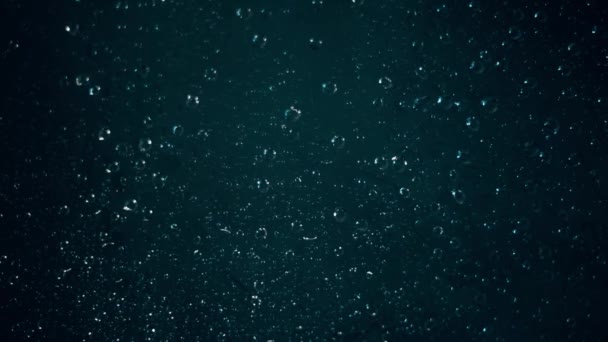 窗外下雨 一滴的咆哮从玻璃上流下来 阴沉的一天 — 图库视频影像