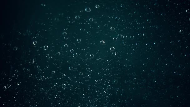 Rain Window Drops Howl Flow Glass Gloomy Day Dark — Stock Video