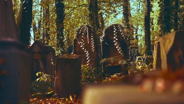 Jewish Cemetery Krakow Halloween Background Autumn Cemetery — ストック写真