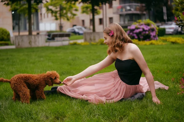 シックなロングピンクのドレスを着た女の子が彼女の犬 茶色のプールと庭に座っています 少女は犬 ホステス 動物と一緒に歩きます 女の子が犬と遊んでいる — ストック写真