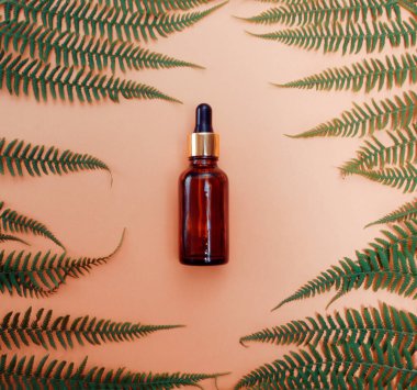 Çıplak arka planda bulunan tropikal bir ağacın yaprakları kozmetik ürünleri, yüz yağları ve cilt için doğal ürünler. Pipetli bir şişe. Yaz kozmetikleri