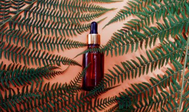 Çıplak arka planda bulunan tropikal bir ağacın yaprakları kozmetik ürünleri, yüz yağları ve cilt için doğal ürünler. Pipetli bir şişe. Yaz kozmetikleri