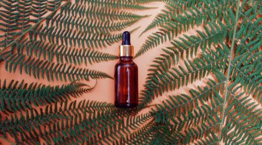 Çıplak arka planda bulunan tropikal bir ağacın yaprakları kozmetik ürünleri, yüz yağları ve cilt için doğal ürünler. Pipetli bir şişe. Yaz kozmetikleri