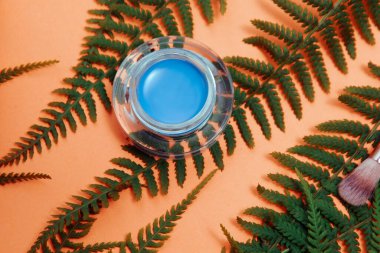 Çıplak arka plandaki tropikal bir ağacın yaprakları, cilt için doğal ürünler. renkli göz kalemi makyaj fırçaları