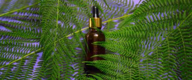 Arka planda tropikal bir ağacın yaprakları olan doğal yağlı bir şişe. Kavanozda aromatik yüz yağı. Doğal yaz kozmetikleri. Konunun modaya uygun fotoğrafı..