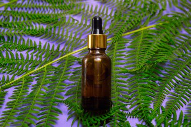 Arka planda tropikal bir ağacın yaprakları olan doğal yağlı bir şişe. Kavanozda aromatik yüz yağı. Doğal yaz kozmetikleri. Konunun modaya uygun fotoğrafı..