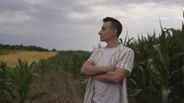 Bir adam mısır tarlasında yürüyor ve tarladaki yapraklara dokunuyor. Çiftlik işçisi, arazi sahibi. Adam mısırların nasıl olgunlaştığını kontrol ediyor, gülümsüyor..