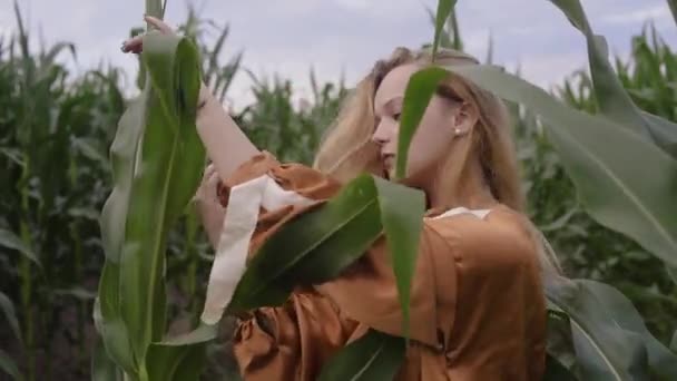 Красивая Девушка Кукурузных Листьях Позирует Смотрит Камеру Поле — стоковое видео