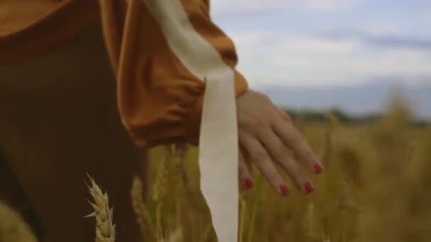 Die Hand Einer Frau Berührt Reifen Weizen Getreidefeld Erntepflege — Stockvideo