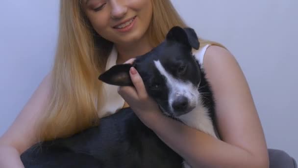 Menina Senta Uma Cadeira Acaricia Cão Cão Nos Braços Proprietário — Vídeo de Stock