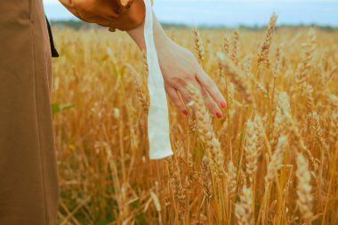 Elim mısır gevreğine değdi. Korunma ve tahıl bakımı kavramı. Altın sahanın sığ derinliği. Kız eli, kadın eli.