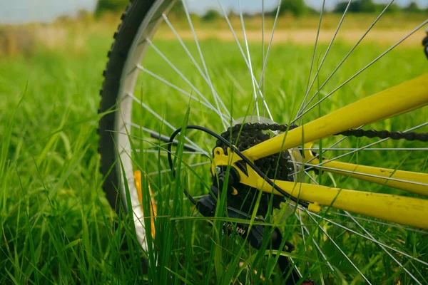 Mountainbike Rad Vor Grünem Hintergrund — Stockfoto