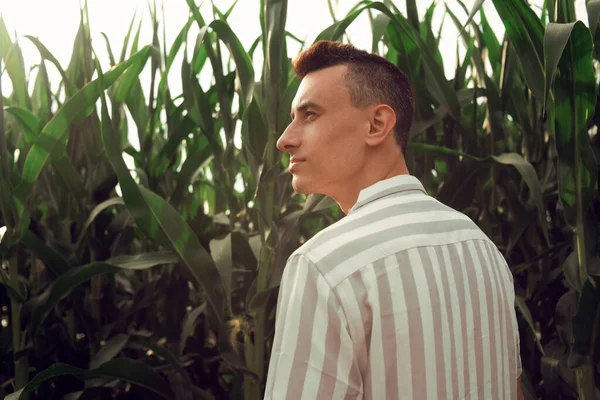 Ragazzo Alla Moda Sta Camminando Campo Grano Giornata Sole Fuori — Foto Stock