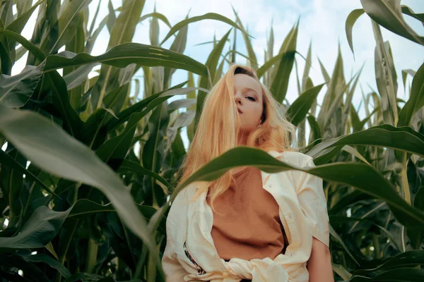 Módní Fotka Dívky Kukuřičném Poli Blond Přírodě Zemědělství Zdraví Cestování — Stock fotografie
