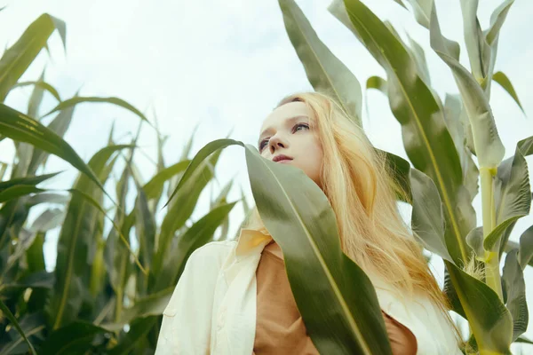 Módní Fotka Dívky Kukuřičném Poli Blond Přírodě Zemědělství Zdraví Cestování — Stock fotografie