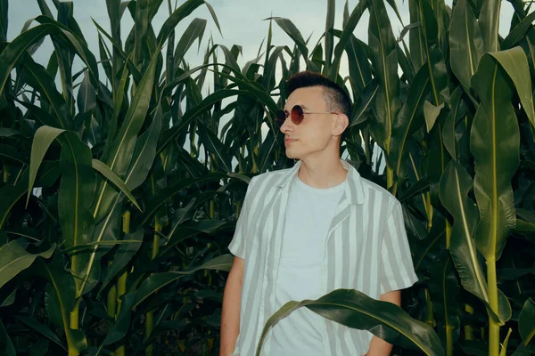 Photo of a guy in fashionable sunglasses. A man in a corn field with leaves. Evening photo with flash.